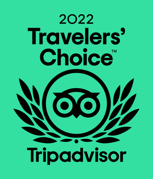 tripadvisor-travelers-choice logo